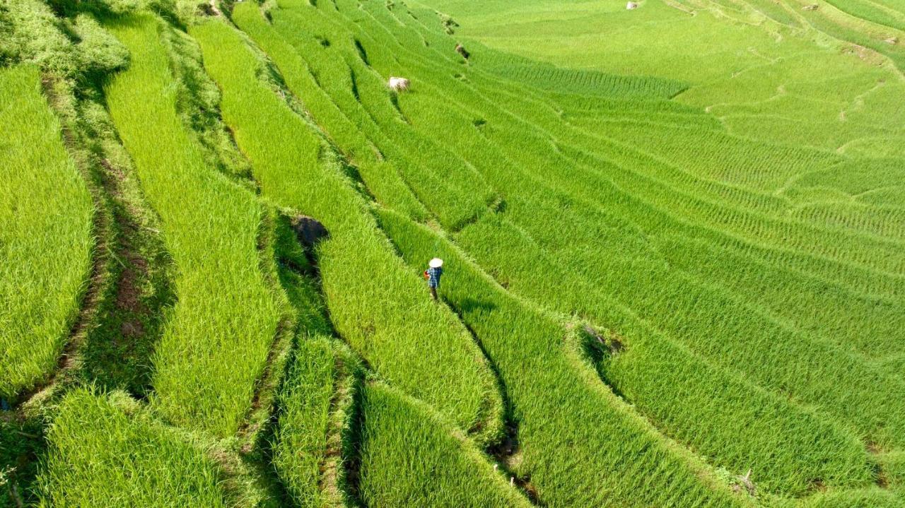 ホテル Pu Luong Eco Garden エクステリア 写真